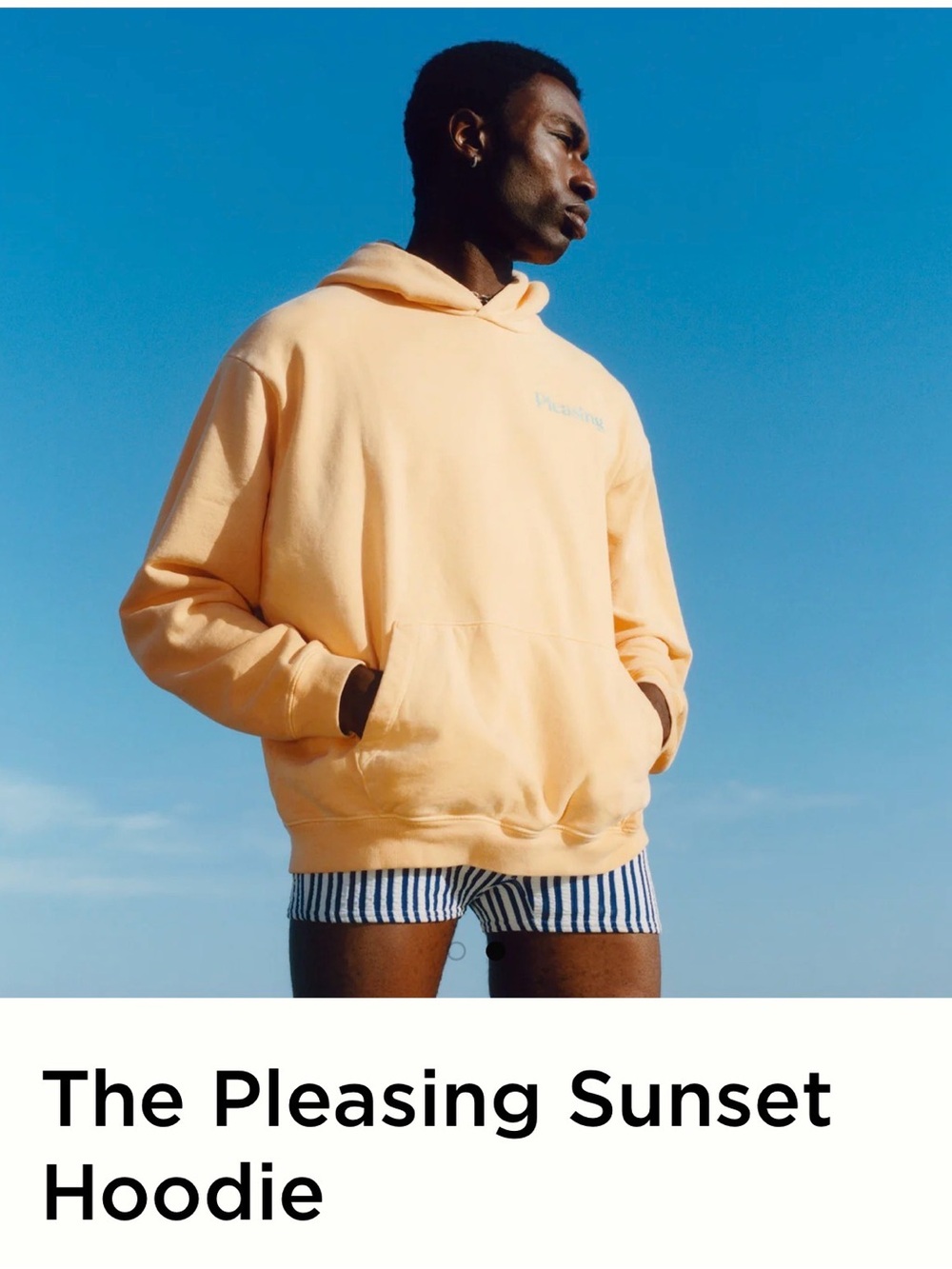 Pleasing Harry Styles Sunset Hoodie